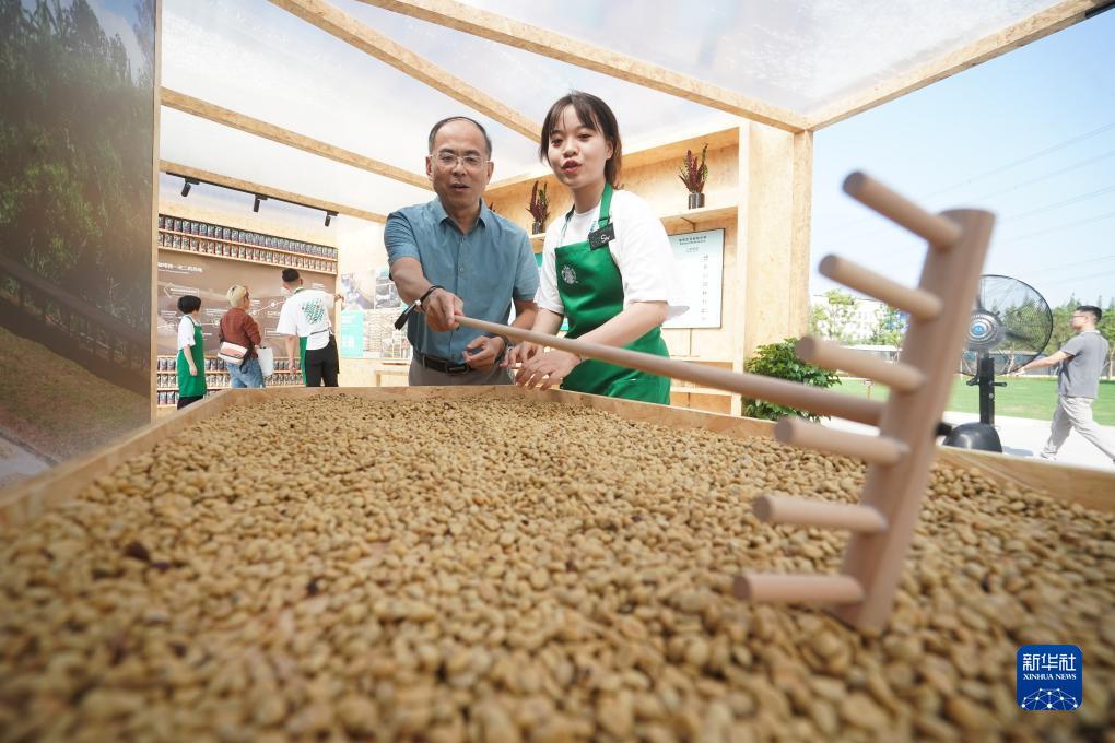 捕鱼王官方版下载